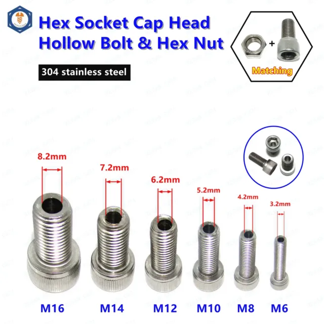 M6 M8 M10 M12 M14 M16 Tapa Hexagonal Cabezal Tornillos Huecos Perno con Tuercas 304SS A2