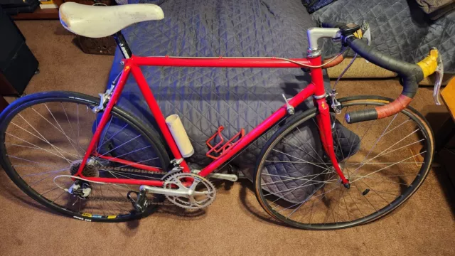 1990 homogonized Specialized Sirrus 58cm Retro