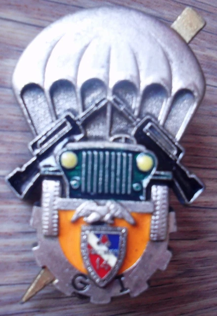 Insigne 14e Régiment D'infanterie Et De Soutien Logistique Duseaux – France