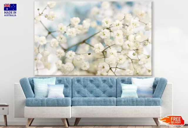 White Flowers Tree Photograph Wall Canvas Home Decor Australian Made Quality