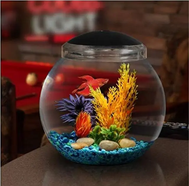 Koller Products 1-Gallon Fish Bowl with LED Lighting Crystal-Clear Clarity