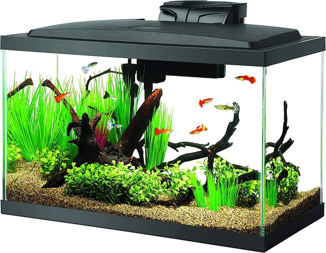 Glass Aquarium Fish Tank Starter Kit with LED Lighting 10 Gal Fish Tank