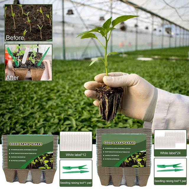 Etikett Pflanzschale Für Draußen Gartenarbeit Zu Hause Gemüsegarten Pflanzen