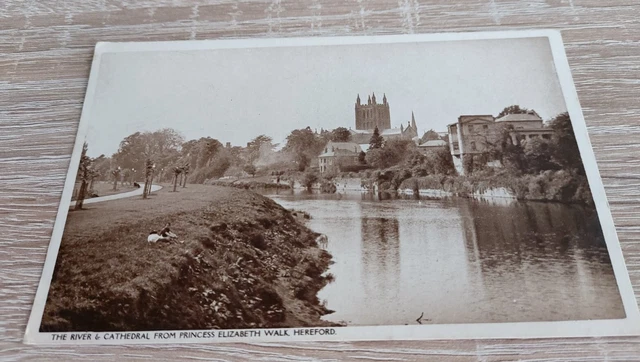 Real Photo Pc  'The River & Cathedral From Princess Elizabeth Walk, Hereford.