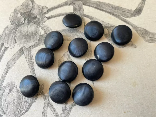 12 petits Boutons anciens en résine noire   - Collection Mercerie