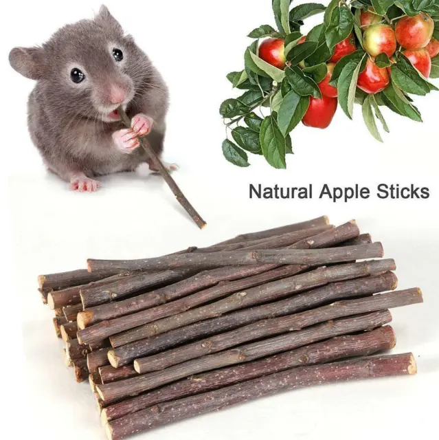 50g Apple Wood Chew Sticks Twigs Rabbit Hamster Guinea Parrots Mice Rat Pig Q1E9