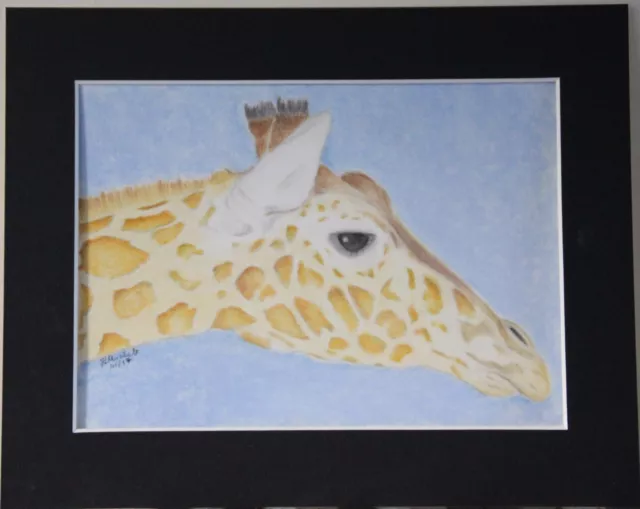 Giraffe - Original Pastel Drawing or Print mounted to 8x10 inches 2 designs