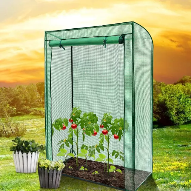 Outdoor Garden Tomato Plant Grow Green House Greenhouse Reinforced Frame & Cover 3