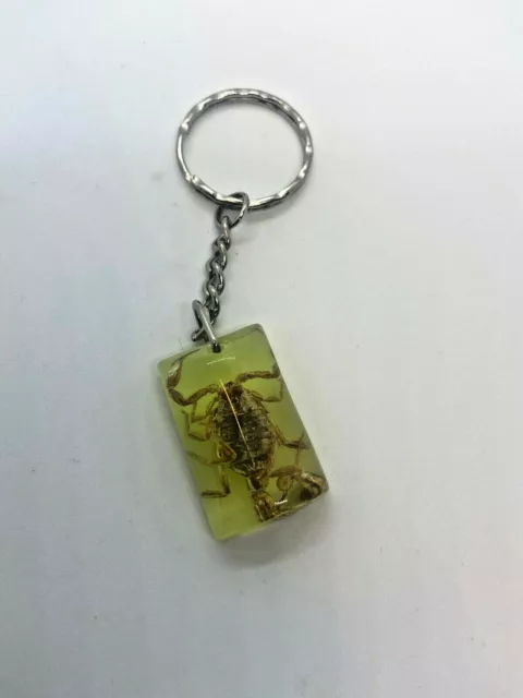 Real Scorpion Keyring  Set In  Glow In The Dark Resin -Great Grusome Gift - K131