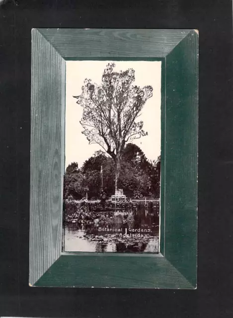 A5450 Australia SA Adelaide Botanic Gardens H&B vintage postcard