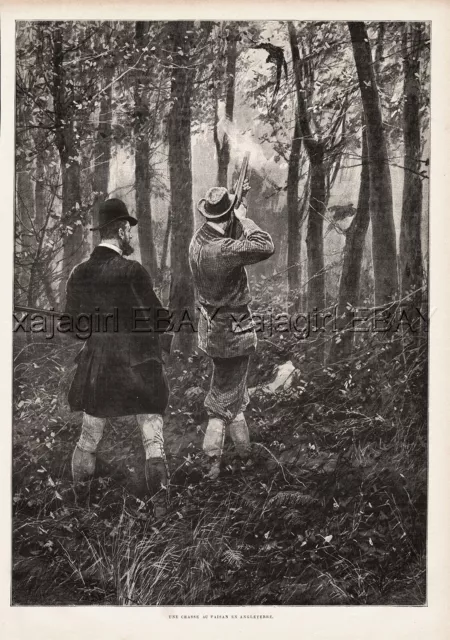 Hunting Pheasant England, Shotgun Firearms, Large 1890s Antique Print & Article