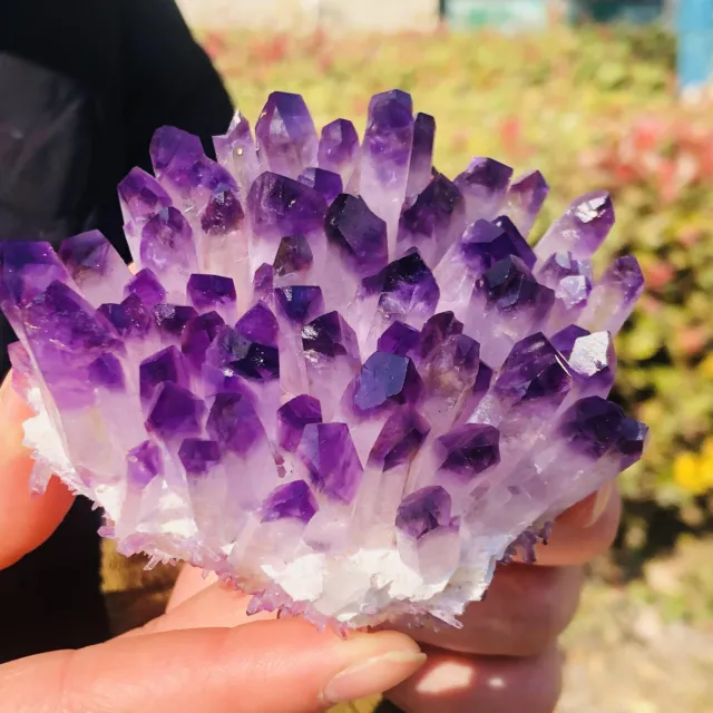 280g New Find purpl Phantom Quartz Crystal Cluster Mineral Specimen Healing
