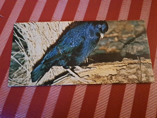 Lot De 24 Cartes Postales Nestlé Merveilles Du Monde - N°112 à 141 - France