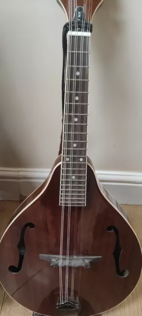 Tanglewood Mandolin With Case