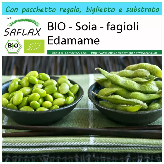 SAFLAX Confezione regalo - BIO - Soia - fagioli Edamame  - 8 semi - Glycine