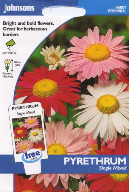 Johnsons Seeds - Pictorial Pack - Flower - Pyrethrum Single Mixed - 125 Seeds