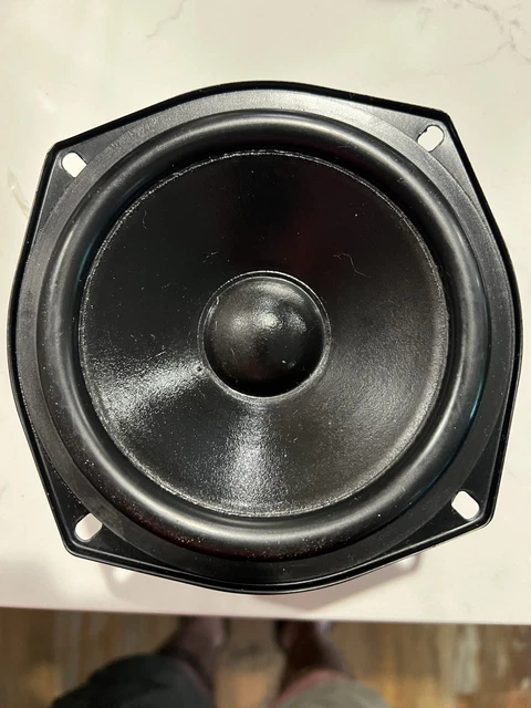 BIC VENTURI SPEAKER Woofer PicClick AU