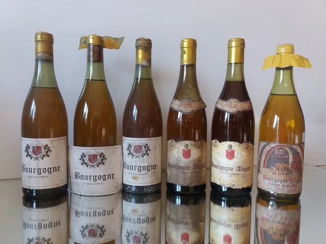 Lot 3 Bourgogne + 1 Bourgogne Aligoté Hugues Goisot et 2 Robert Chevillon 1978