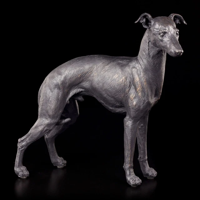 Levriero Figura - Greyhound Rüde Cane Simil Bronzo Statua Decorativa