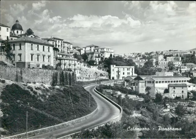 ah375 cartolina catanzaro citta' panorama