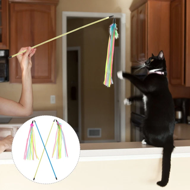 Kitten Toys Cat Essentials Indoor Cats Ribbon Cat Teaser Cat Toy 9