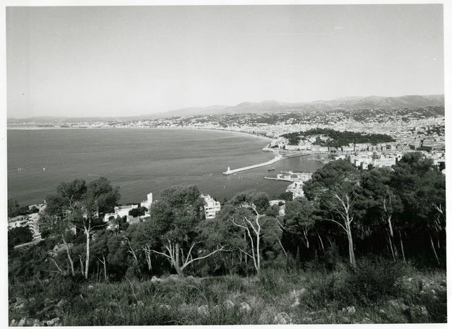 Original Vintage Photo A7071 France Nice , Mediterranean Sea, Beach Trees