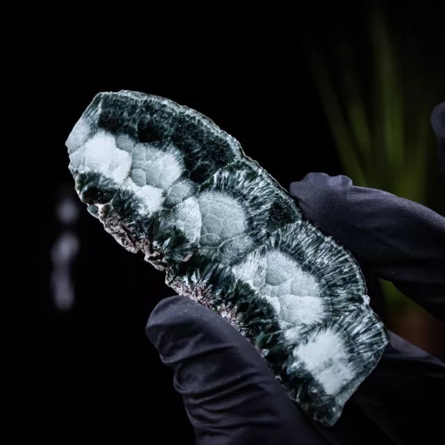 Seraphinite Polished Slice 3