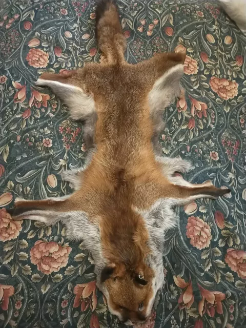 Fox Skin Complete With Face
