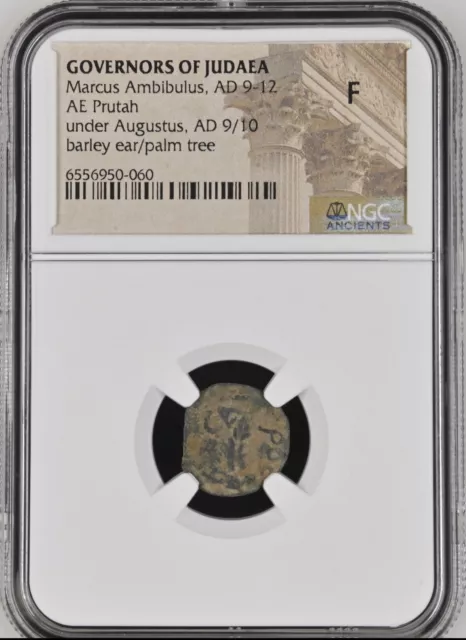 NGC F Judaea Marcus Ambibulus AD 9-12 Æ Prutah AD 9-12 Barley/Palm Ancient Coin