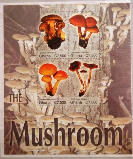 GHANA 2004 Klb 3678-81 2438 Pilze Mushrooms Fungi Flora Nature Food Essen MNH