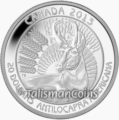 Canada 2013 PRONGHORN Antelope Untamed $20 1 Oz Pure Silver Proof in FULL OGP