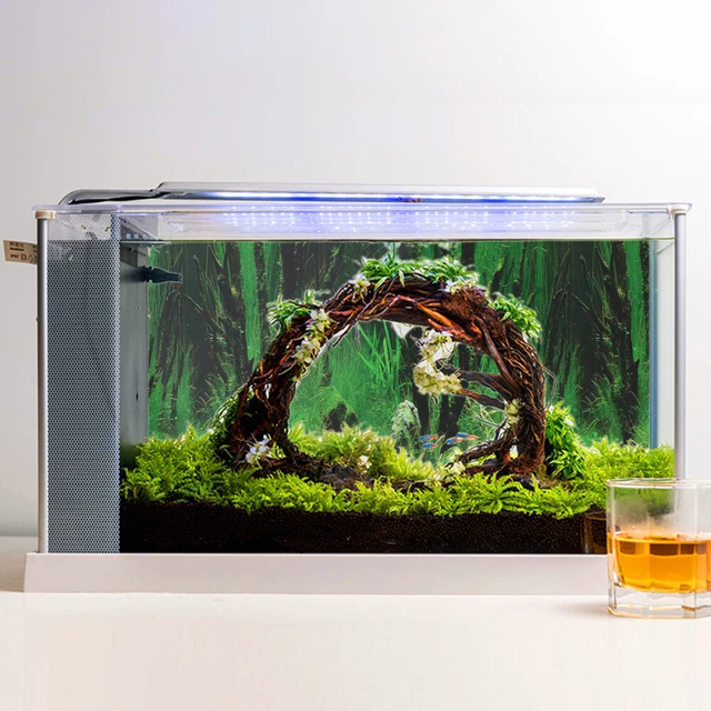 Aquarium Image de Fond Aquarium Décoration Milieux 8