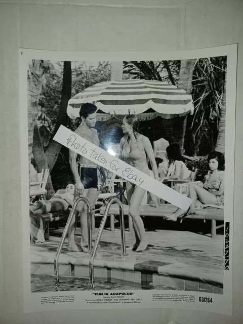 Vintage Elvis Presley Fun in Acapulco Ursula Andress Black & White 8x10 photo