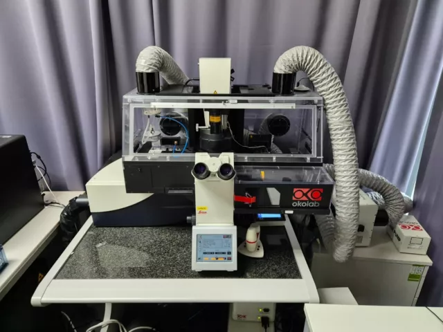 Leica confocal microscope SP8