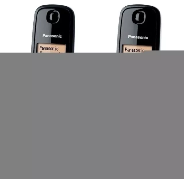 Telefono Dect Panasonic Kx-Tg1612Sp1 Duo Bl/Ng