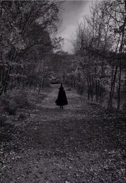 Antique Halloween Witch Walk Photo 1518b Oddleys Strange & Bizarre