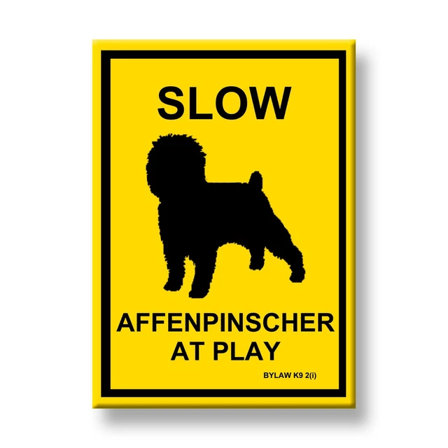 AFFENPINSCHER Slow At Play FRIDGE MAGNET Dog