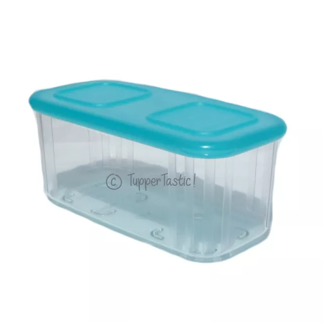 4)Tupperware Sheer Rectangle Small Container 2065A-4 & Aqua Colored Lid  2067A-5