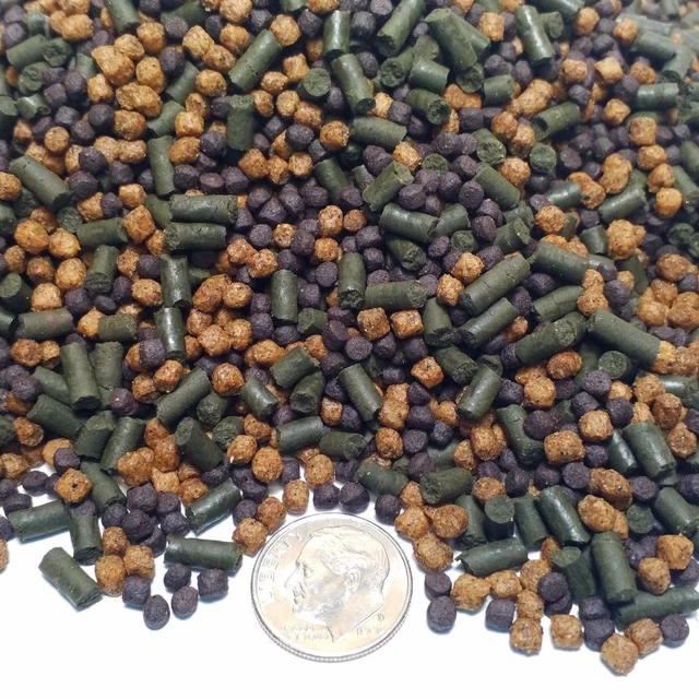 Cichlid Sinking Bits & Floating Pellets, Intense Color Blackworm Pellets GB-400