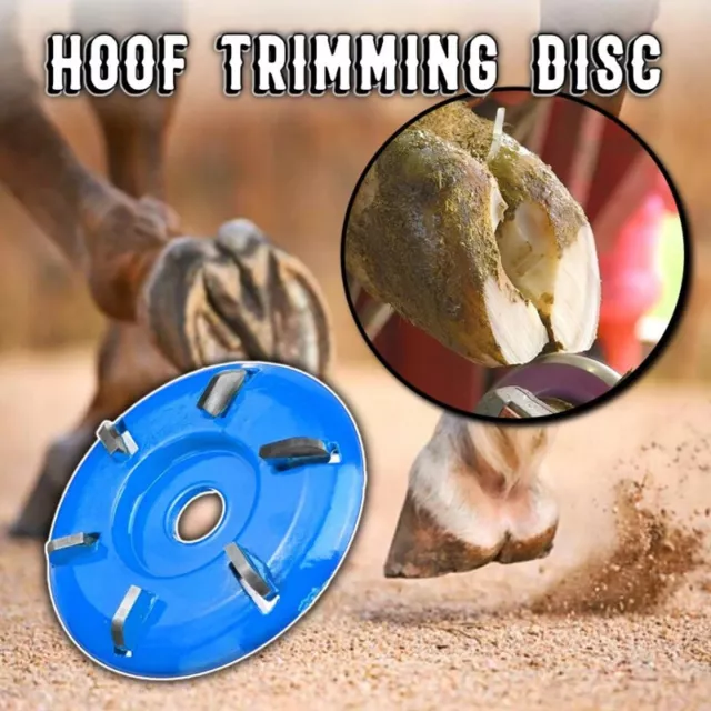 Hoof Trimming Cutter Livestock Sheep Foot Trimmer Disc Plate Electric Hoof Tool