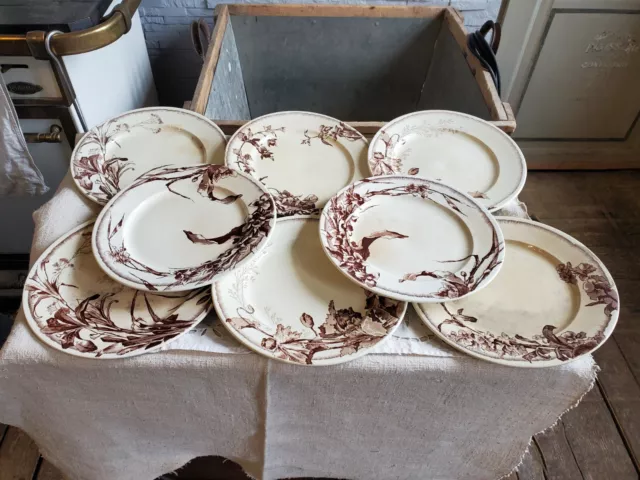 Lot de 8 ASSIETTES en faïence JULES VIEILLARD Bordeaux, modèle CHEVREUSE SEPIA