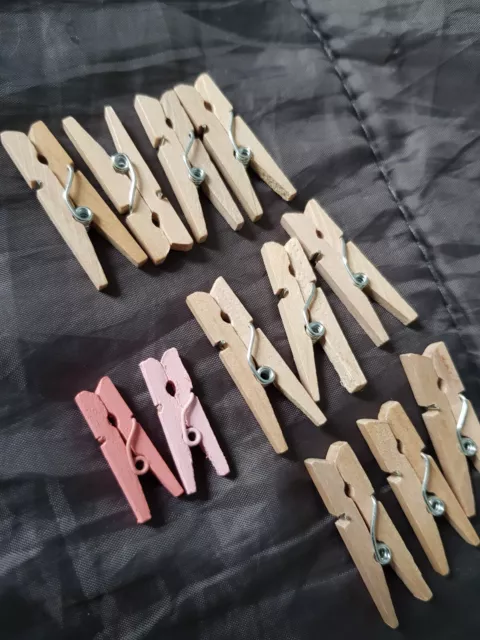 10 tiny wooden pegs approx 3.5cm, 2 mini pink pegs approx 2.5cm