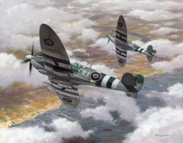 Supermarine Spitfire IX ML407 485 Sqn Caroline Grace Aircraft Aviation Art Print