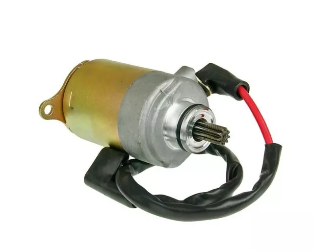 Lexmoto Titan 125 ZN125T-8F Starter Motor