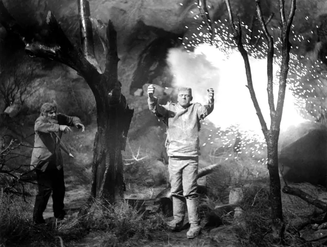 LON CHANEY JR GHOST OF FRANKENSTEIN MONSTER CLASSIC 8X10 PHOTO 1c