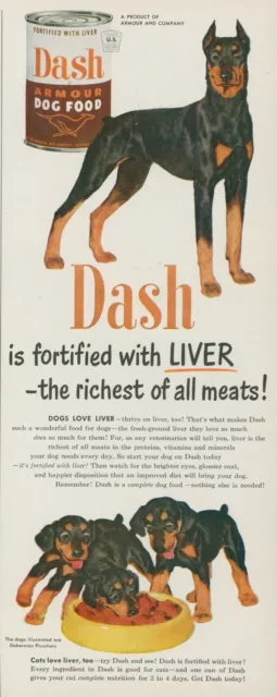 1951 Dash Armour Dog Food Doberman Pinscher Puppy Puppies Bowl Vtg Print Ad BH1