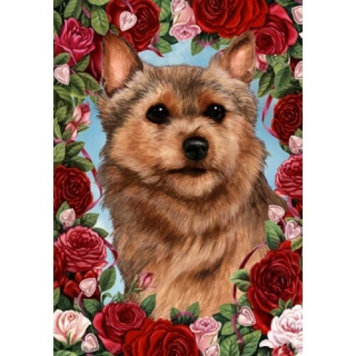 Roses Garden Flag - Norwich Terrier 191521