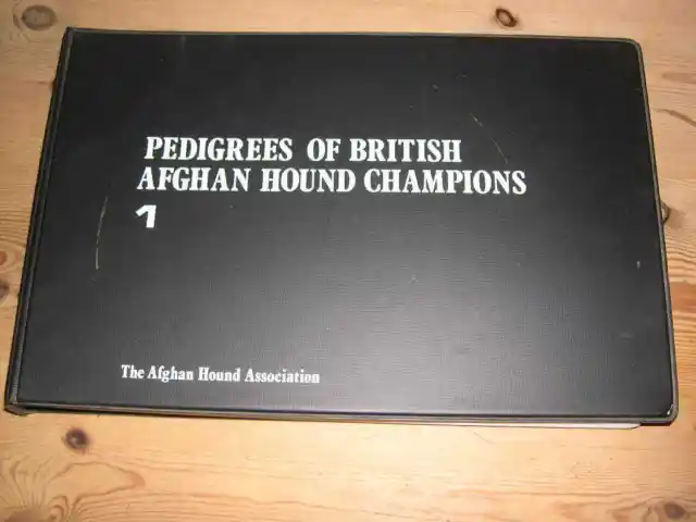 "Pedigrees Of British Afghan Hound Champions Vol 1" Dog Book By Adams 1979