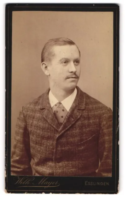 Photography Wilh. Mayer, Esslingen, Portrait of Charming Young Man in Plaid