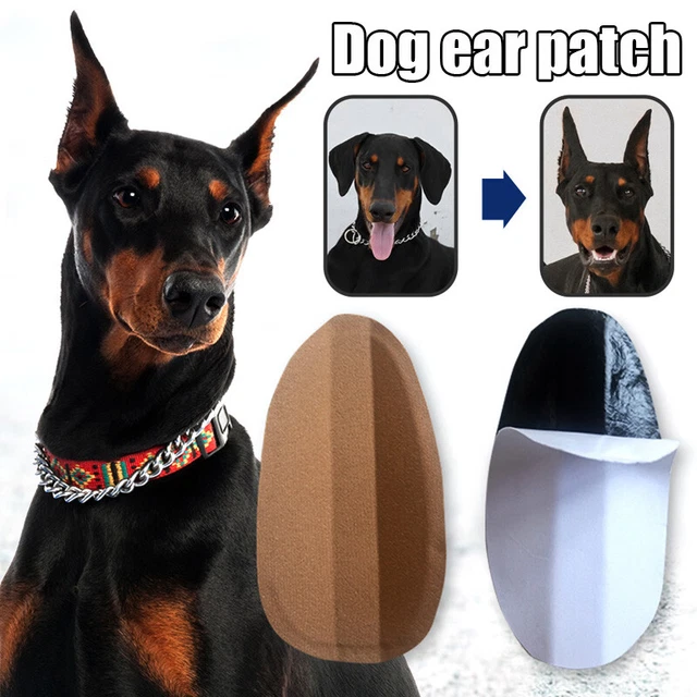 Cane Orecchio Stand Raccogliere Adesivo Fisso Sostegno Tedesco Shepherd Raise -